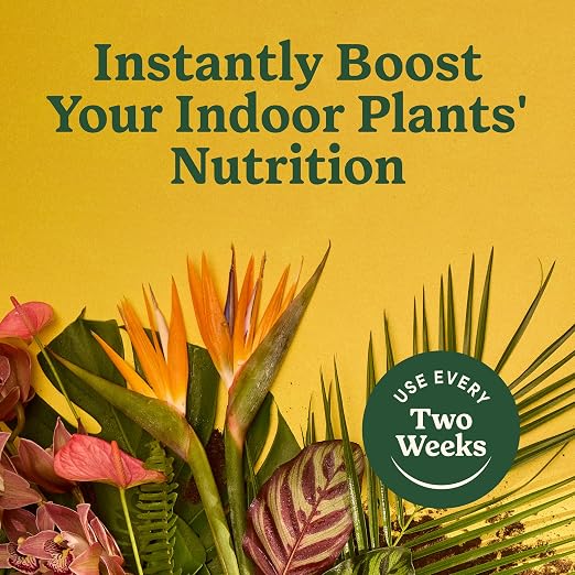 All Plants