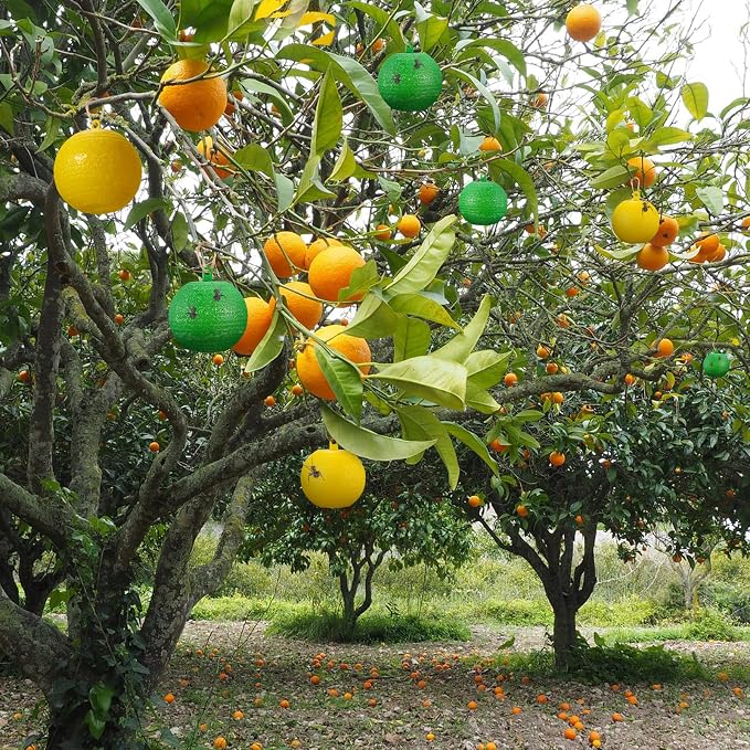 Green, Yellow