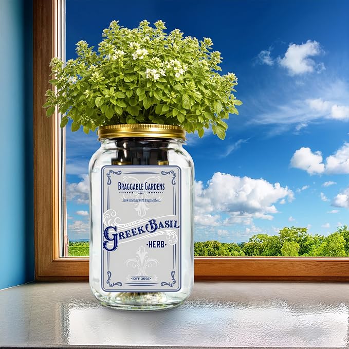 Greek Basil