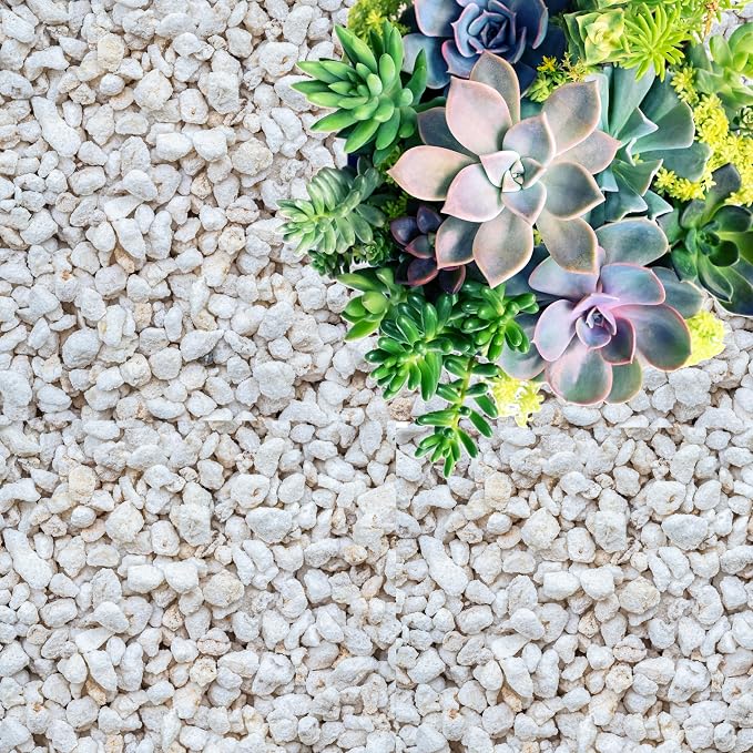 Coarse and Chunky Perlite