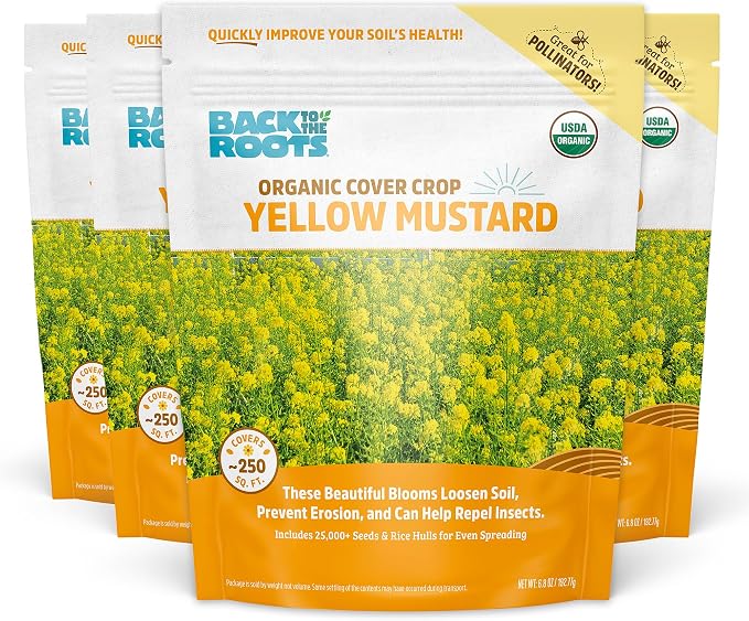 Yellow Mustard
