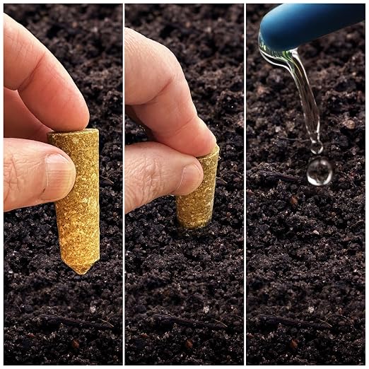 __DEFAULT__