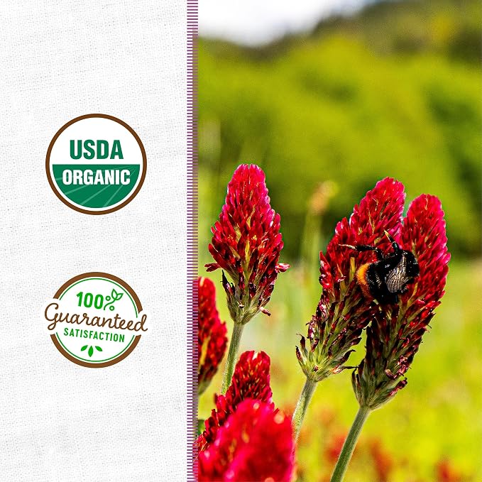 Crimson Clover