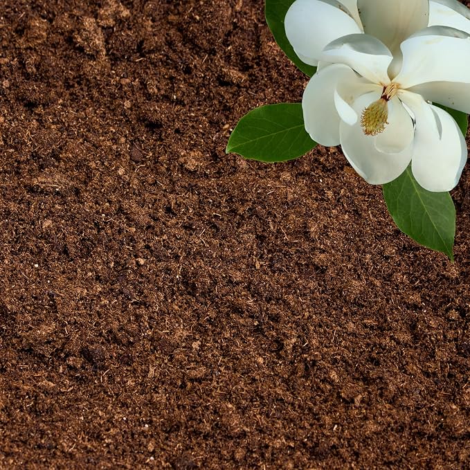 Organic Sphagnum Peat Moss