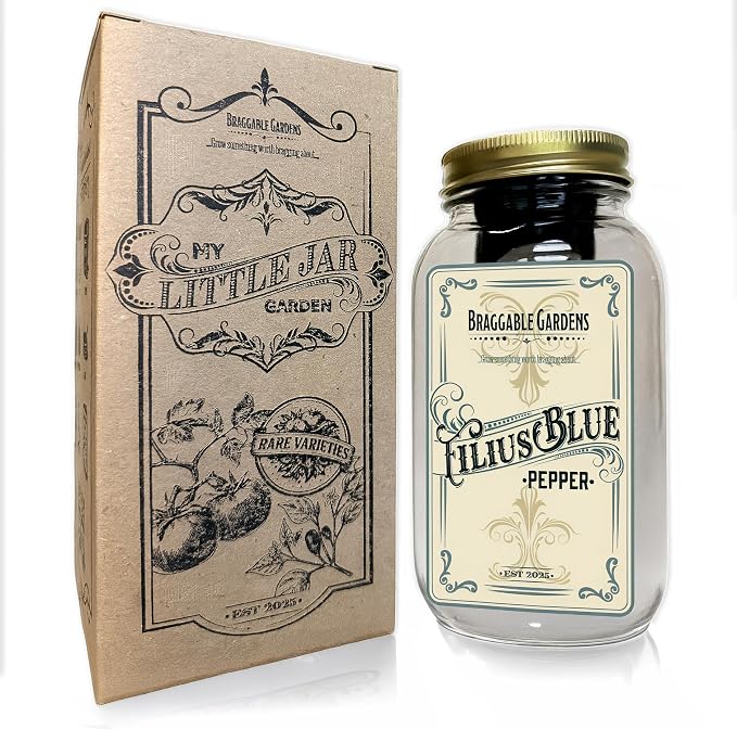 Filius Blue Pepper