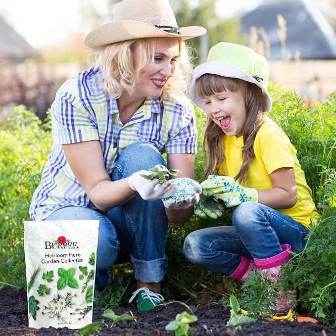 Best 16 Heirloom Herb Seeds