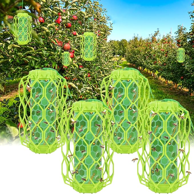 Green-4 Pack