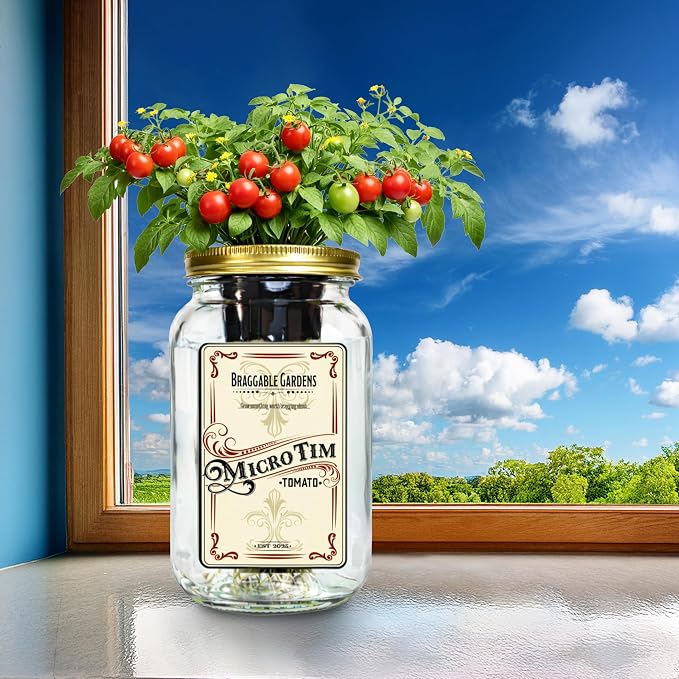 Micro Tim Cherry Tomato