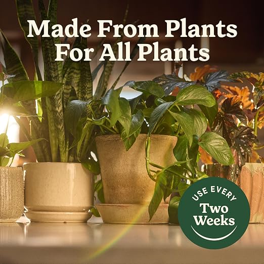 Organic Houseplant