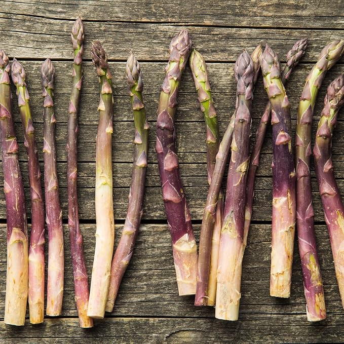 Purple Asparagus