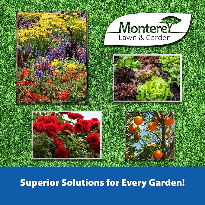 __DEFAULT__