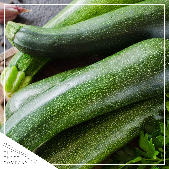 Zucchini
