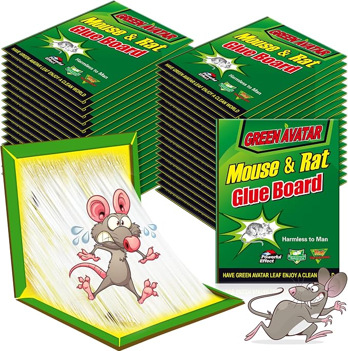 green-36pack