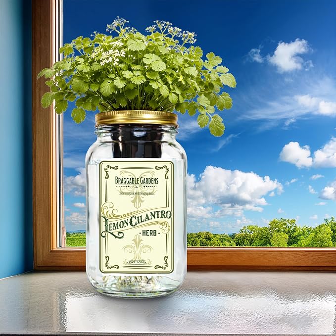 Lemon Cilantro
