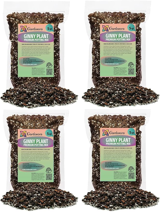 Monstera Ginny Plant Soil Mix