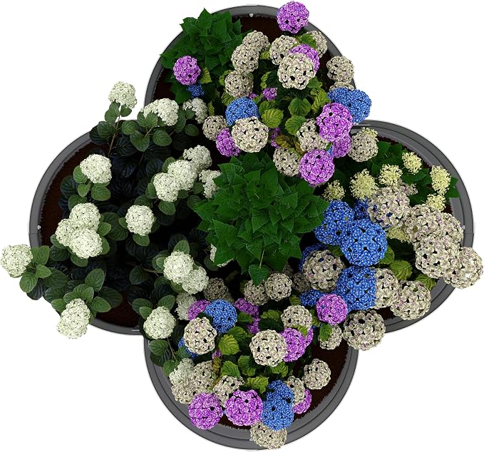 Beige Petal-shaped