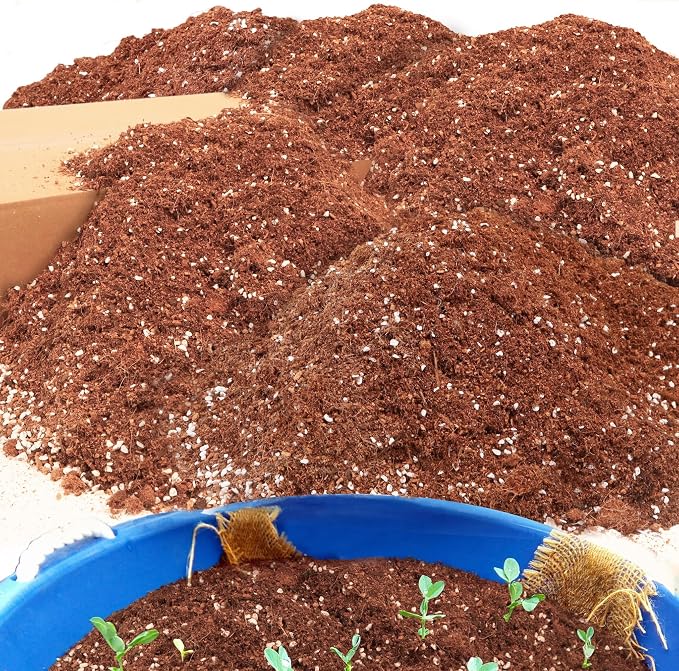 Potting Soil