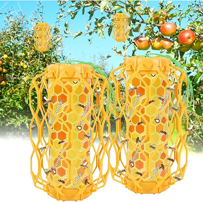 Orange-2 Pack
