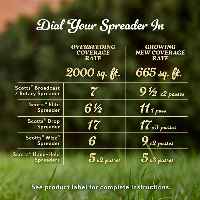 Tall Fescue