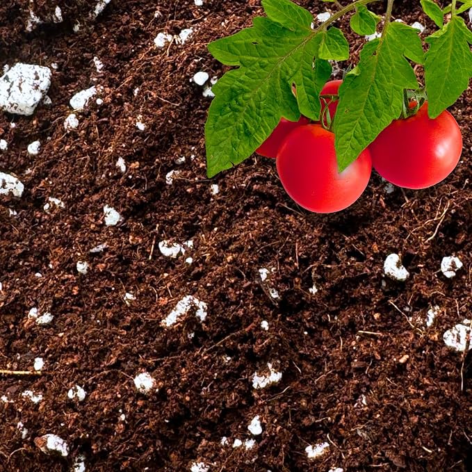 Coco Coir Perlite Mix 70/30