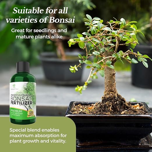 Bonsai