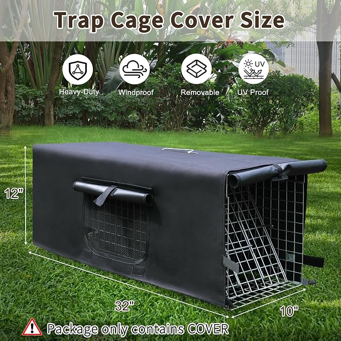 COVER ONLY 4
