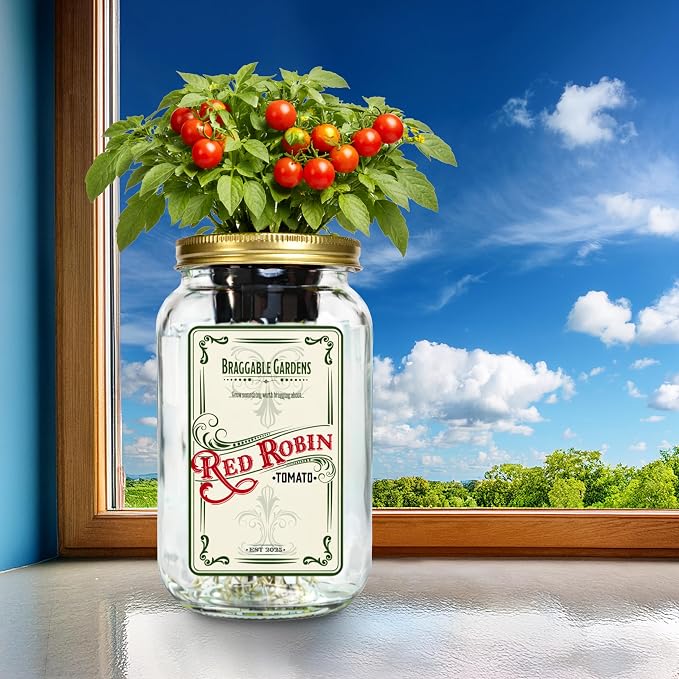 Red Robin Cherry Tomato