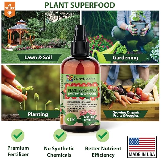 POTHOS Plants Superfood