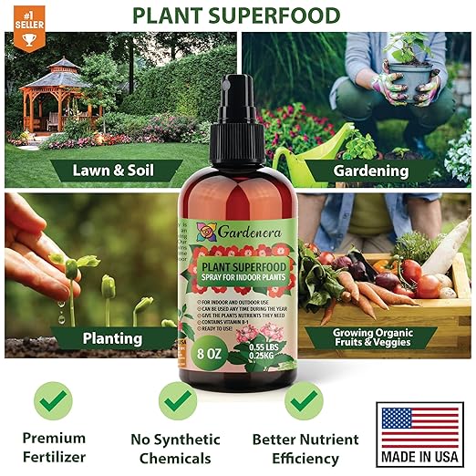 ZZ PLANTS Superfood