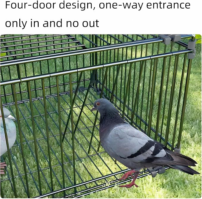 __DEFAULT__