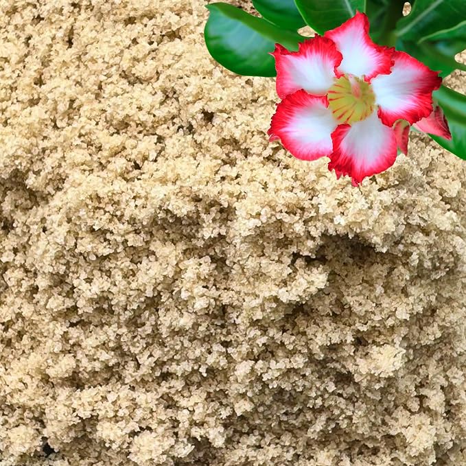 Horticultural Fine Sand
