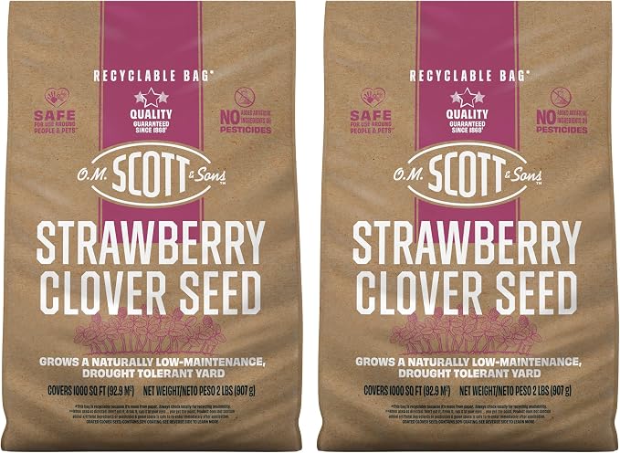 Strawberry Clover
