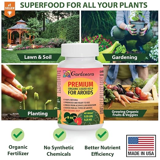 All Aroid Plants