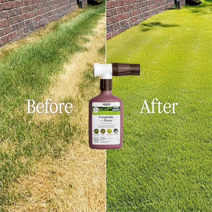 Rts Fungicide for Lawn, Trees & Shrubs