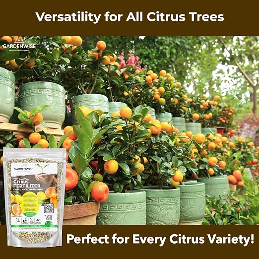 Citrus and Lemon Tree Fertilizer