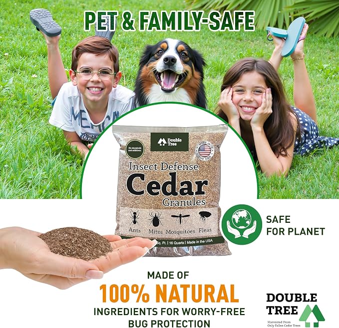 __DEFAULT__
