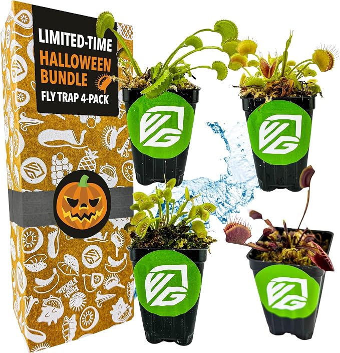 Venus Fly Trap Bundle