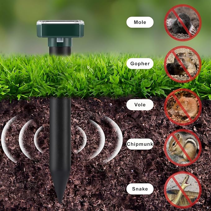 __DEFAULT__