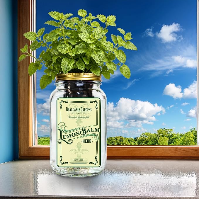 Lemon Balm Herb