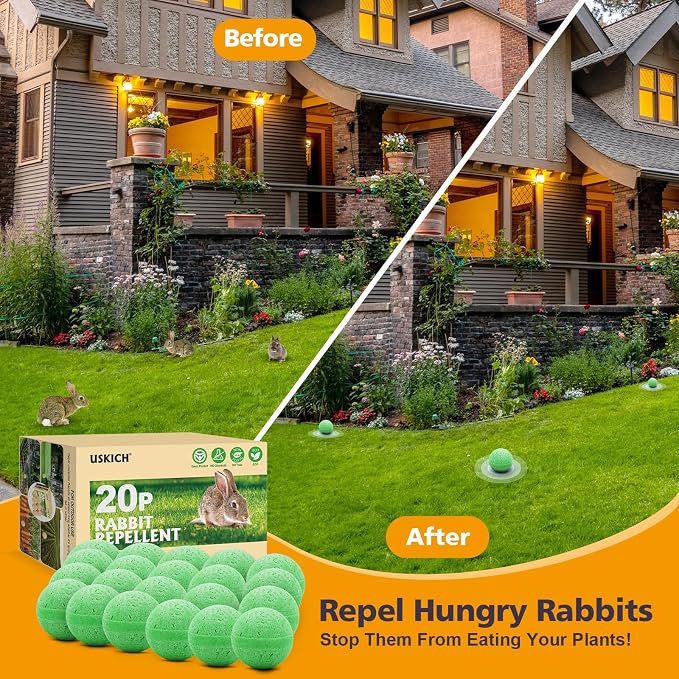 Green-rabbit