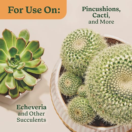 Cactus & Succulent